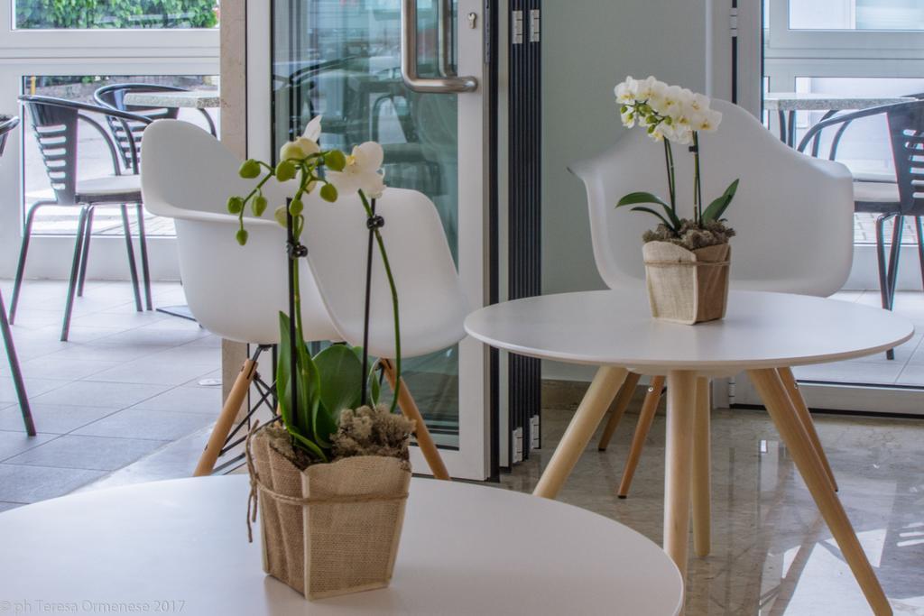 Dolomiti Hotel 3*